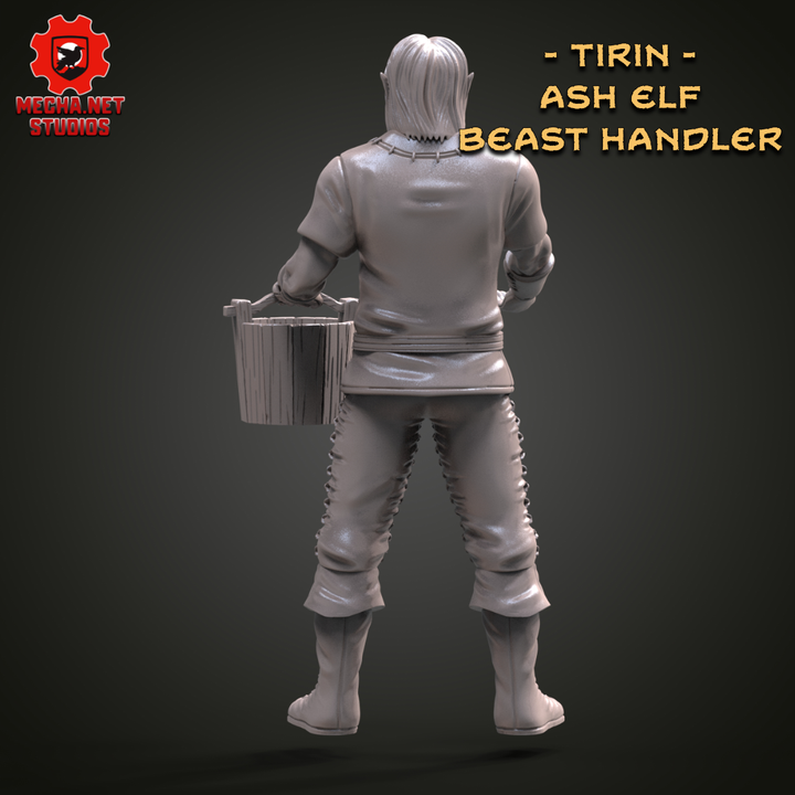 Tirin - Ash Elf Beast Handler image