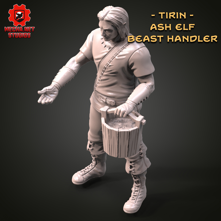 Tirin - Ash Elf Beast Handler image