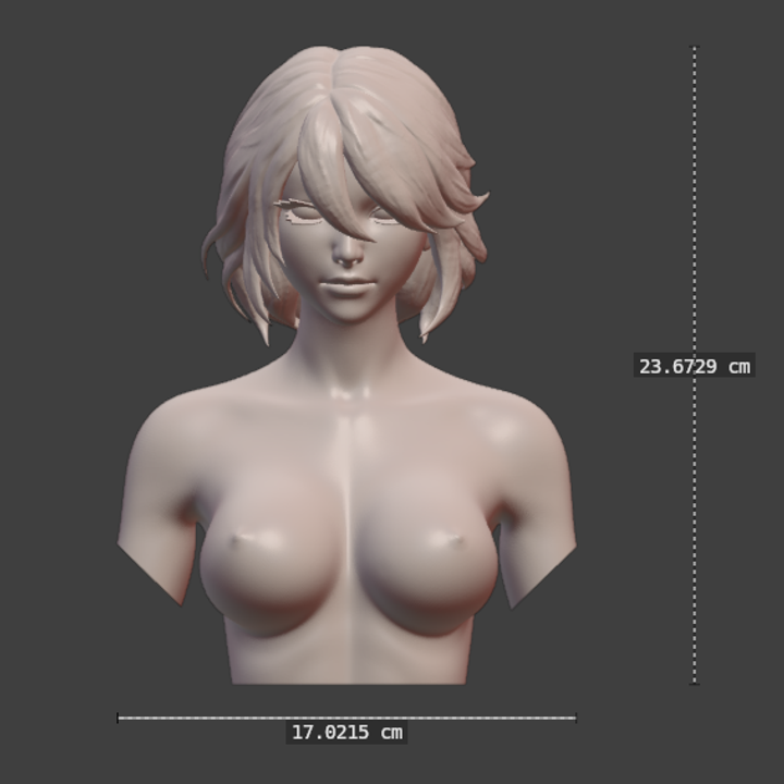 BUST NSFW LADY 01 image