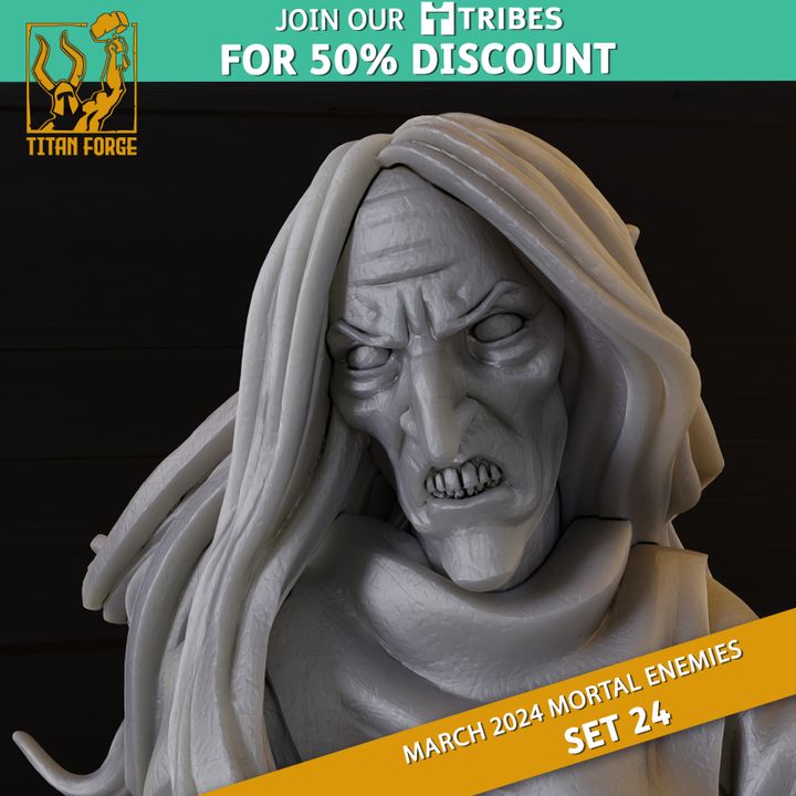 3d Printable Hag B Rpg Monster Dnd 5e Mortal Enemies Set 24 By Titan Forge Miniatures 7262