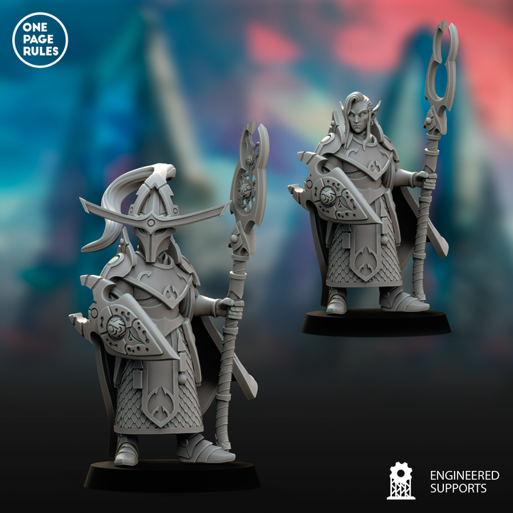 Elf Fleets Guardian