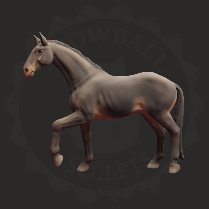 Warmblood Horse Mare Model