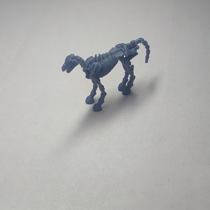 Skeletal Horse image