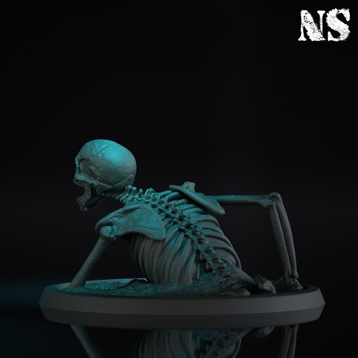 Rising Skeleton 02 image