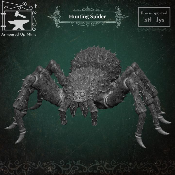 Hunting Spider image