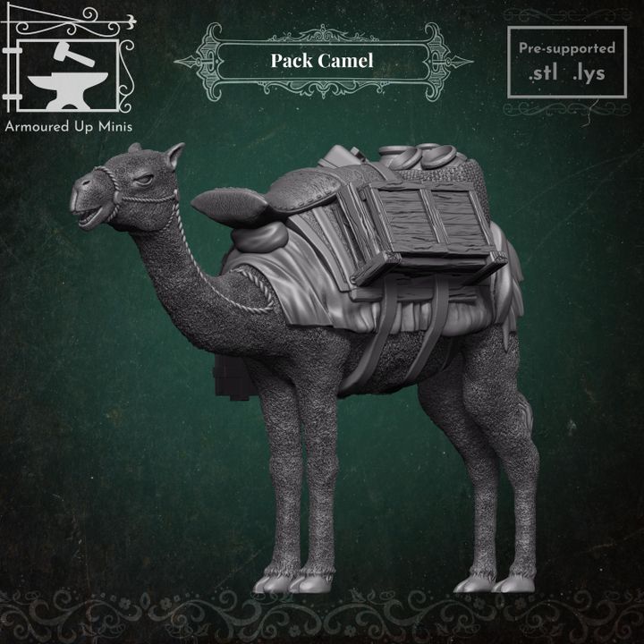 Pack Camel