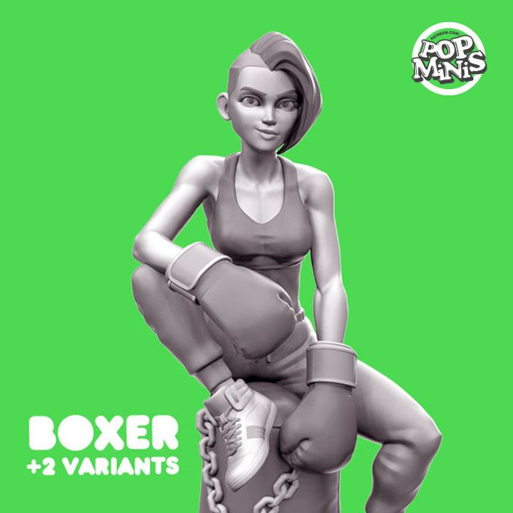 Boxer Girl by PopMinis image