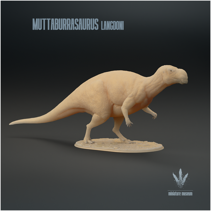 Muttaburrasaurus langdoni  : Hadrosaur from Down Under image