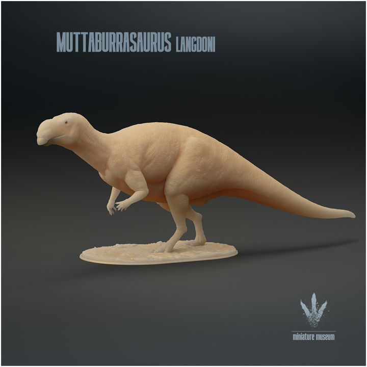 Muttaburrasaurus langdoni  : Hadrosaur from Down Under image