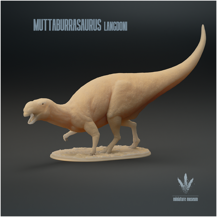 Muttaburrasaurus langdoni : Walking image