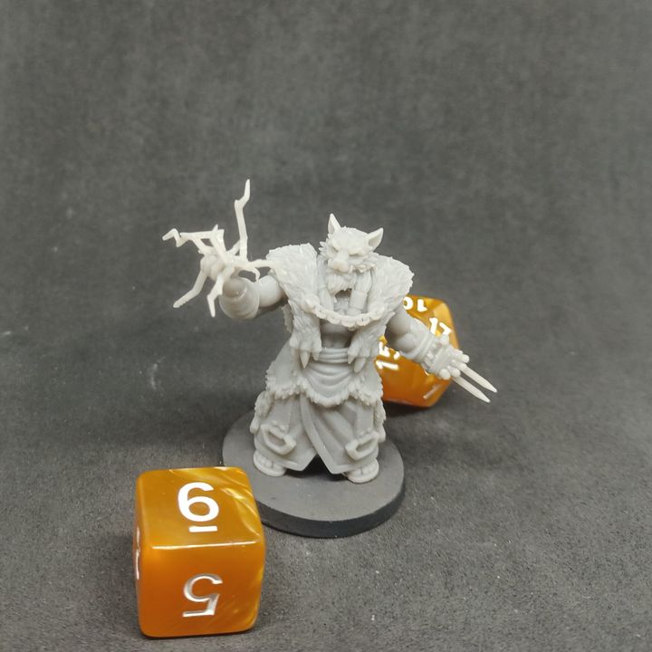 3D Printable Loyalty Reward 03 Months - Orc Shaman by Imagine Minis