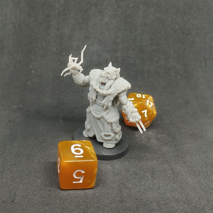 3D Printable Loyalty Reward 03 Months - Orc Shaman by Imagine Minis