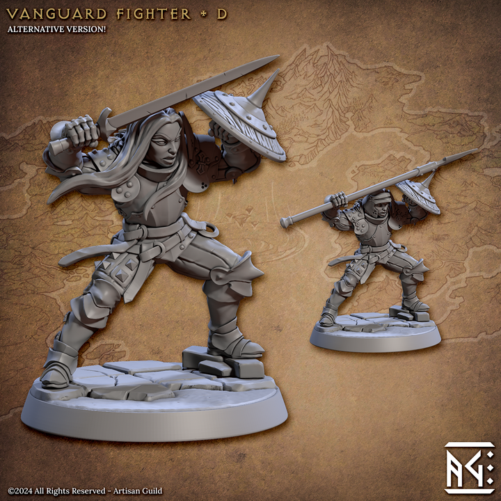 Vanguard Fighter - D (Vanguard Fighters Guild)