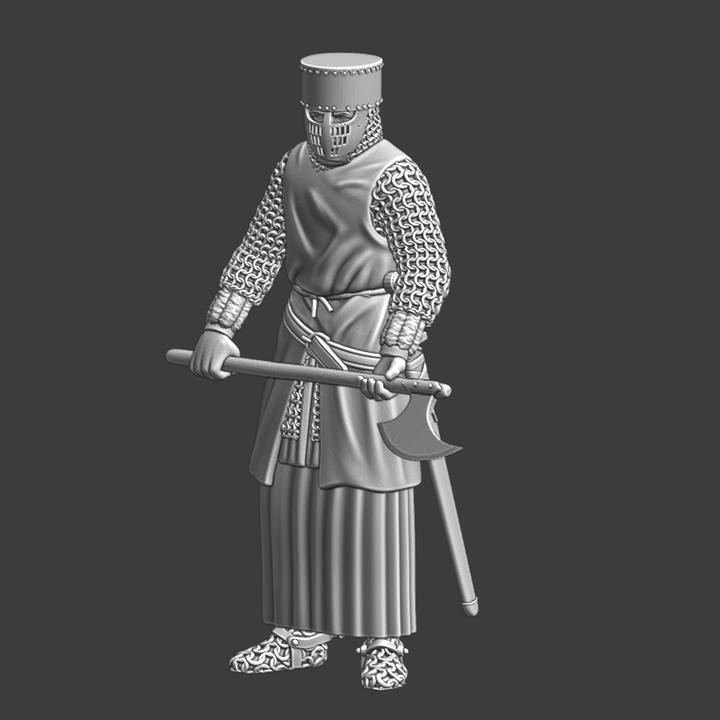 Medieval Guard with Danish Axe image