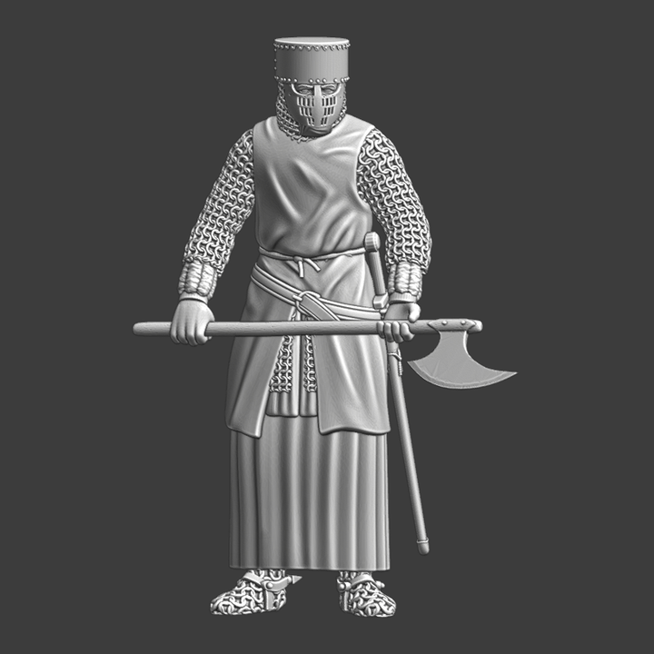 Medieval Guard with Danish Axe image