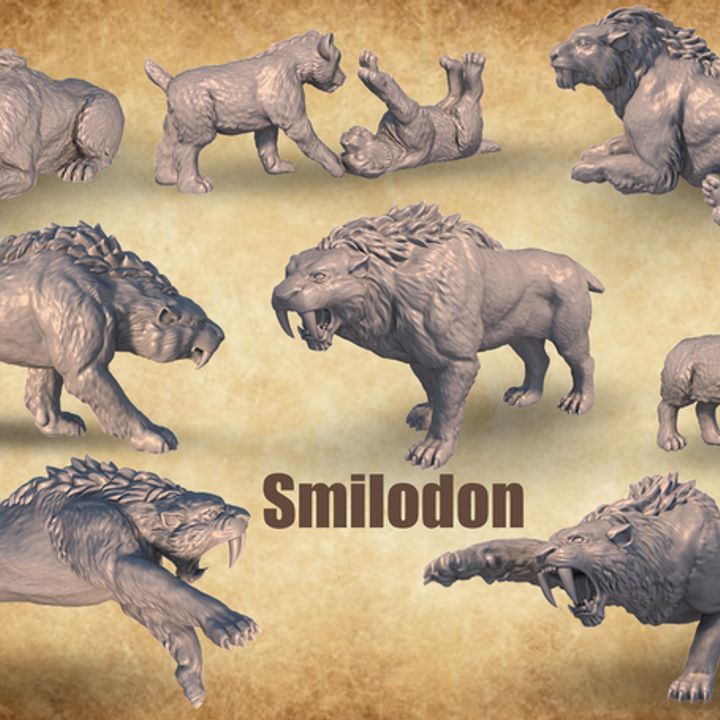 Epic set of smilodons, sabertooth image