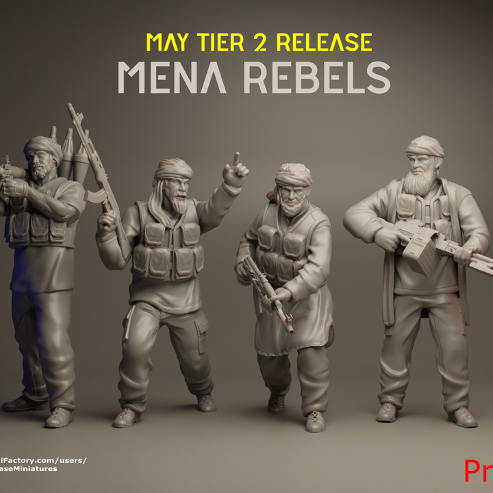 TurnBase Miniatures: Wargames- Mena Rebels image