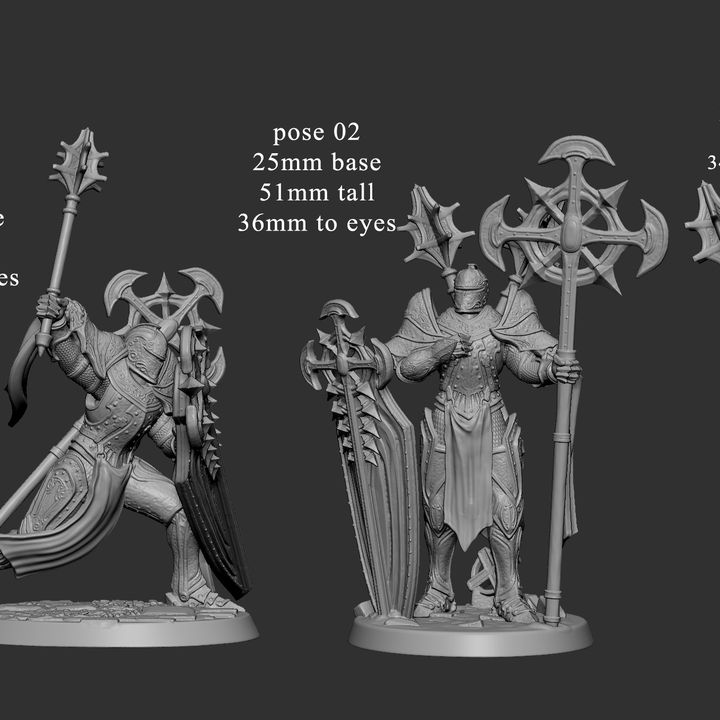 3D Printable Divine Bulwark (Pose 2 of 3) by Mini Monster Mayhem