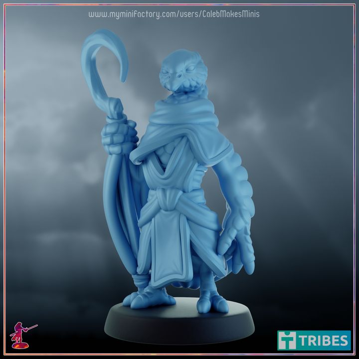 "Eurydice" - Swan Cleric [PRE-SUPPORTED] | Avians Series