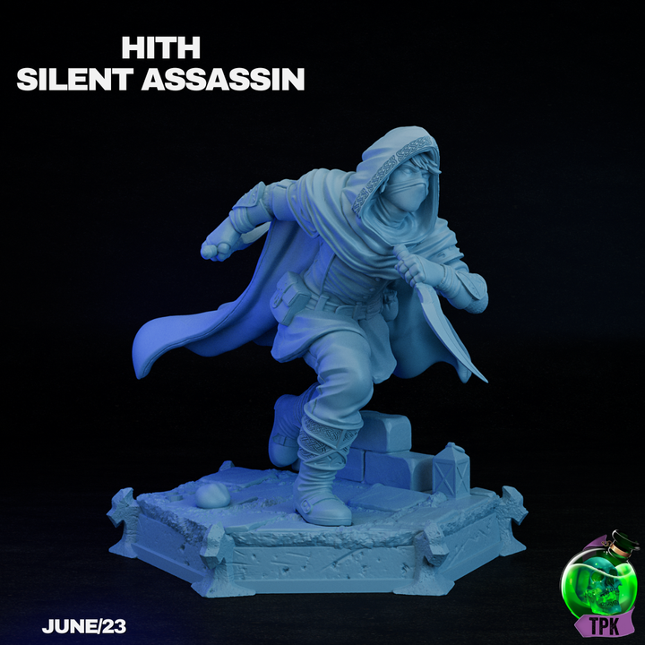 Hith Silent Assassin image