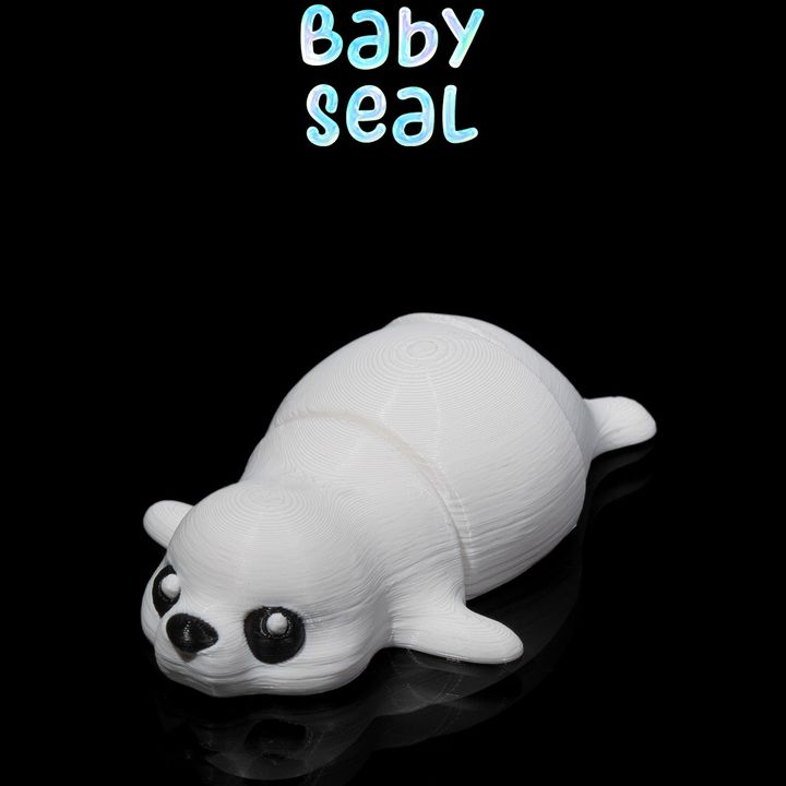 Baby Seal