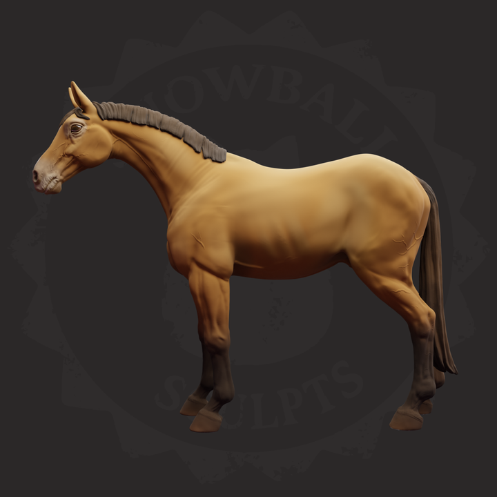 Warmblood Horse Gelding Model