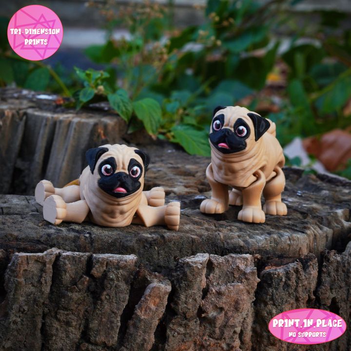 Flexi Pug Dog