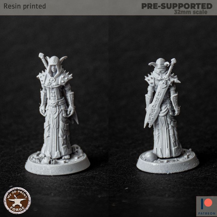 3D Printable Death Knight Night Elf Female 3 models by My3DPrintForge