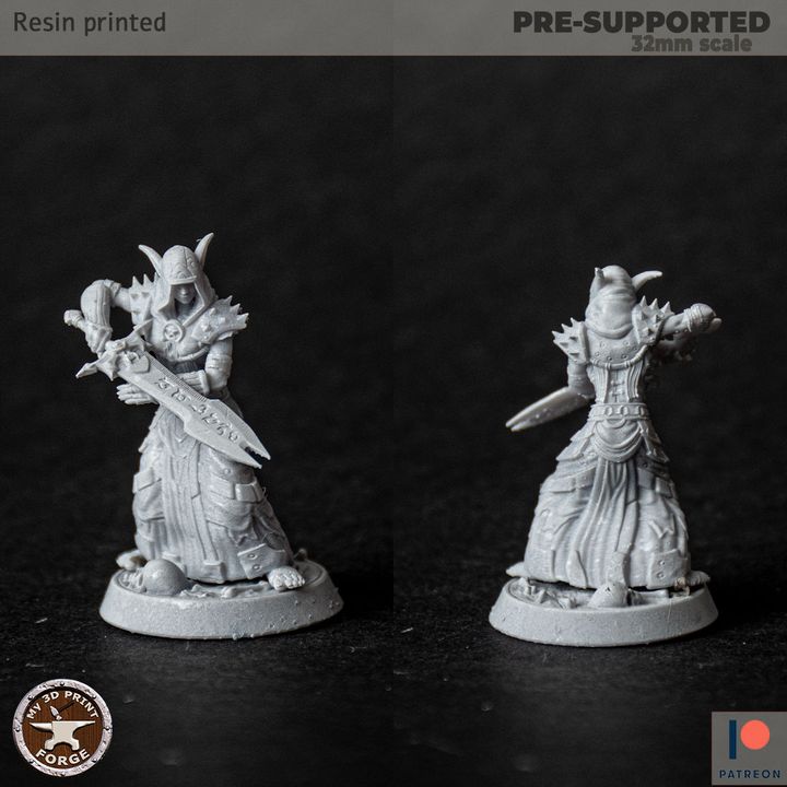 3d Printable Death Knight Night Elf Female 3 Models By My3dprintforge