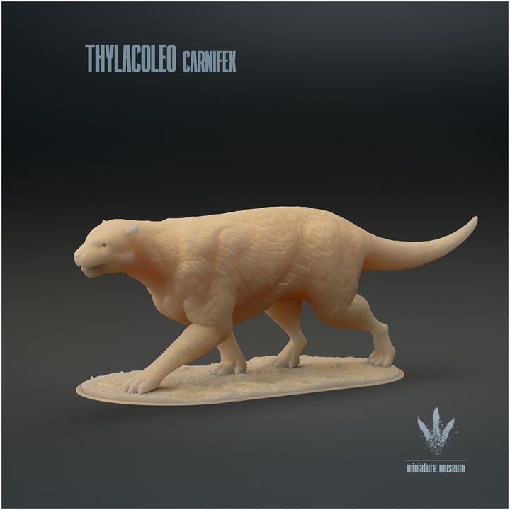 Thylacoleo carnifex  : The Marsupial Lion image