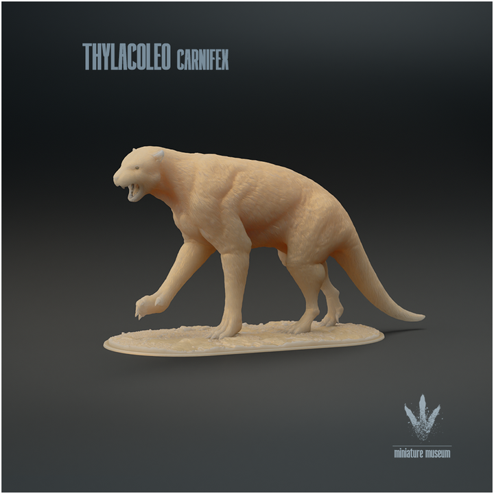 Thylacoleo carnifex : Walking image