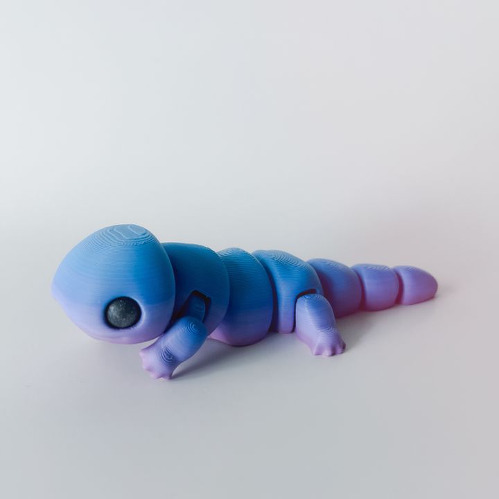 Salamander Flexi image