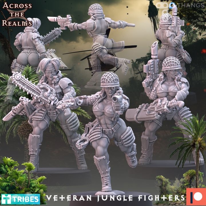 Veteran Jungle Fighters image