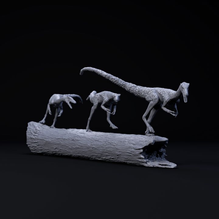 Compsognathus on log 1-6 scale pre-supported dinosaur image