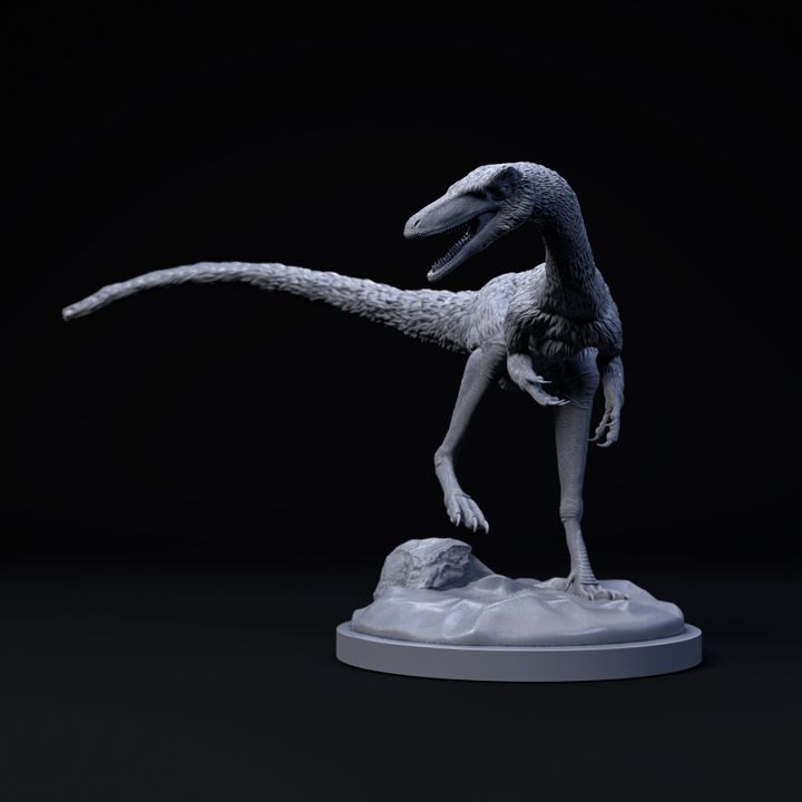 Compsognathus surprised 1-6 scale pre-supported dinosaur image