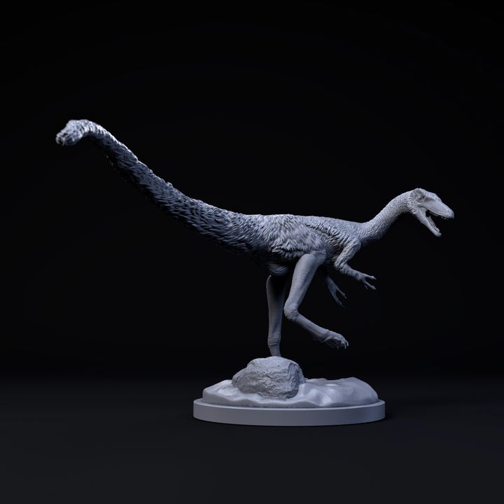 Compsognathus surprised 1-6 scale pre-supported dinosaur image