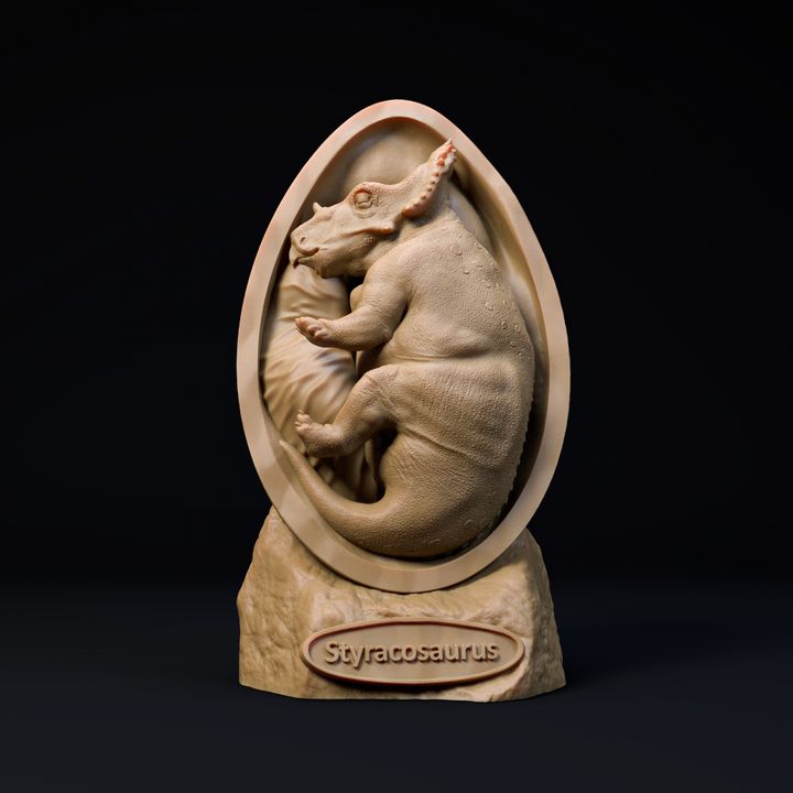 Styracosaurus embryo - dinosaur baby