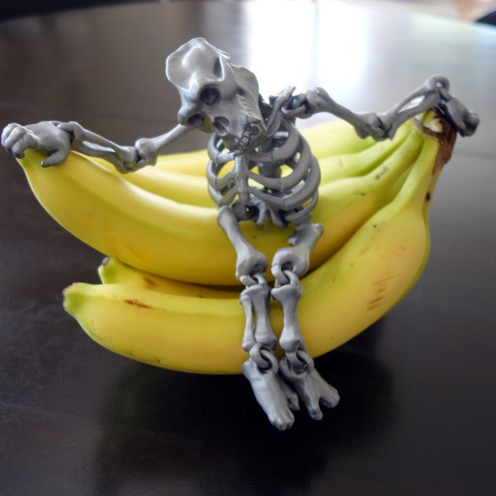 Unique Fully Articulated Gorilla Skeleton 3D Print-In-Place STL Model Fidget Toy