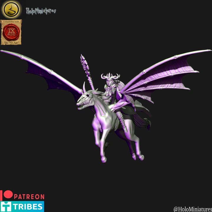 Dark elves sorceress on dark pegasus (elf)