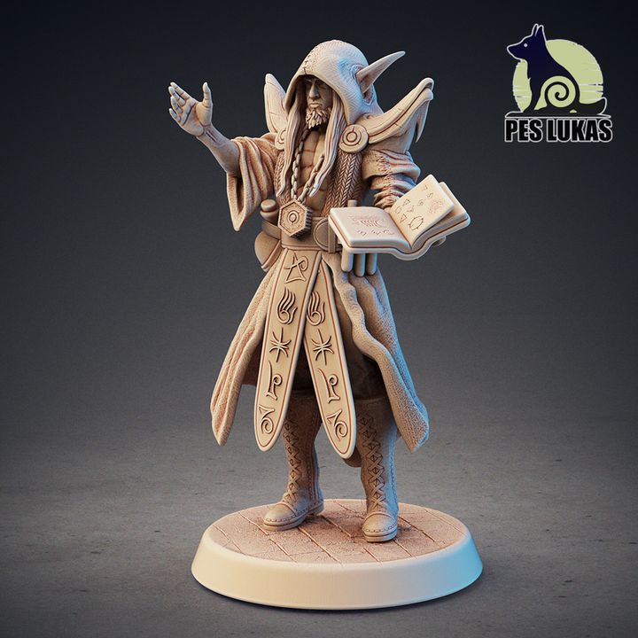 Elf Wizard