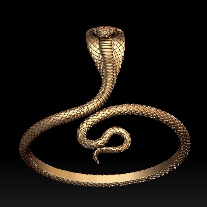 COBRA BRACELET