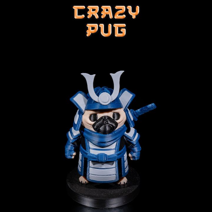 Crazy Pug