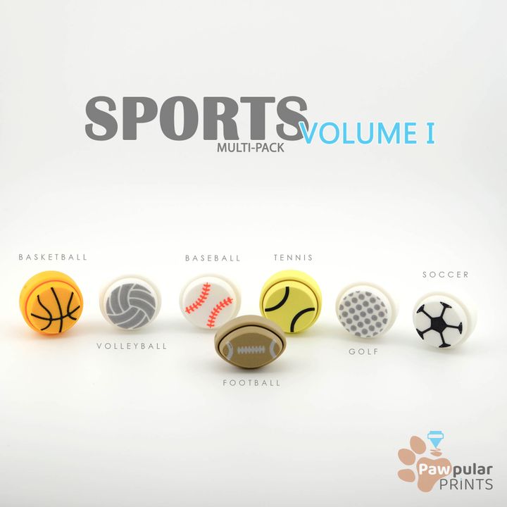 Sports Volume 1, Multi-Pack - Fidget Keychain [Private Use Only]