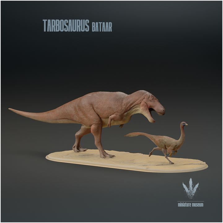 Tarbosaurus bataar : Chase