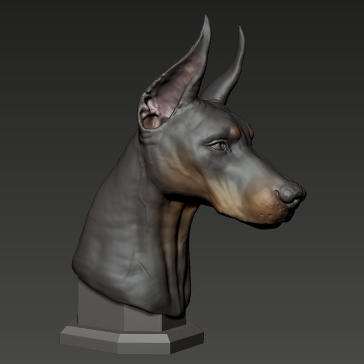 3D Printable Doberman Pinscher Bust by The Garawake