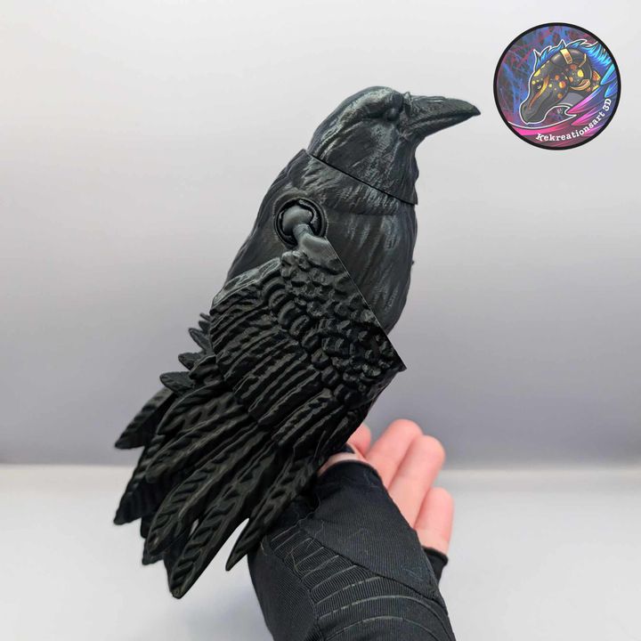 Vivie / Modern Raven 美品 Amazon | Vivie ModernRaven | ディストーション・オーバードライブ
