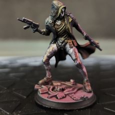 3D Printable Cyberpunk Ghost Assassin - The Silver Jackal by