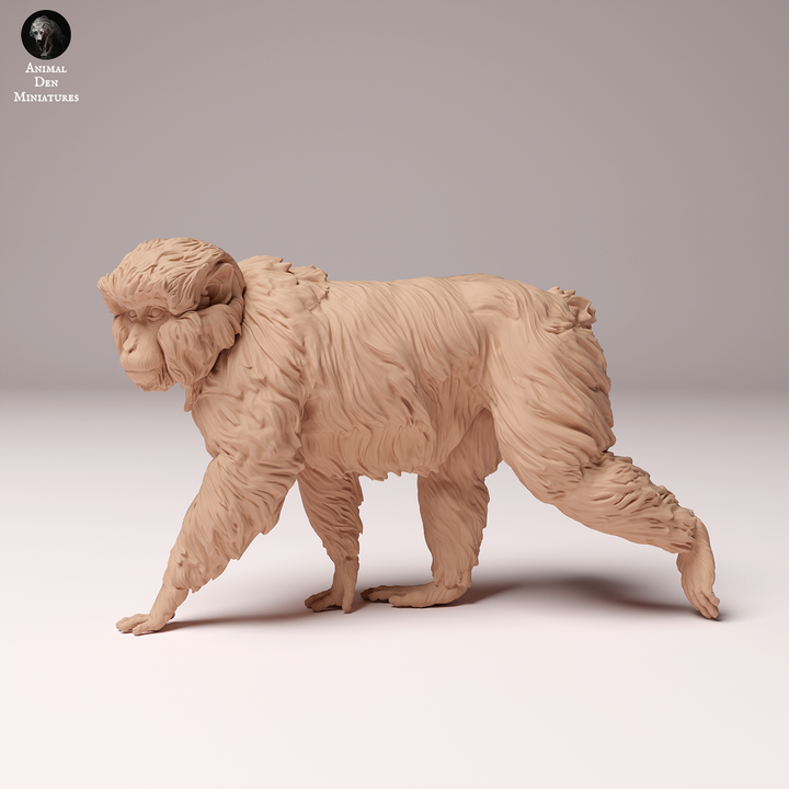 3D Printable Japanese Macaque by Animal Den Miniatures