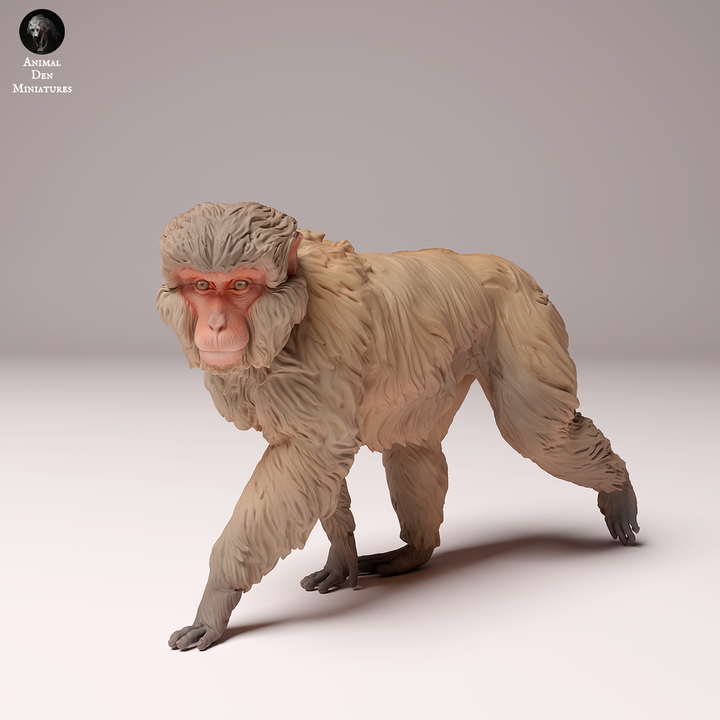 3D Printable Japanese Macaque by Animal Den Miniatures