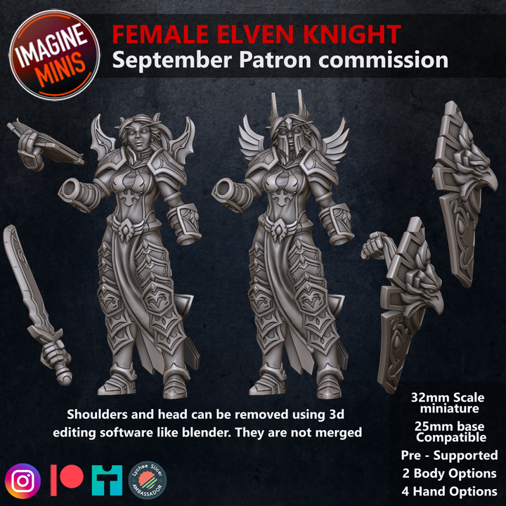 3D Printable Loyalty Reward 03 Months - Female Elven Knight by Imagine ...